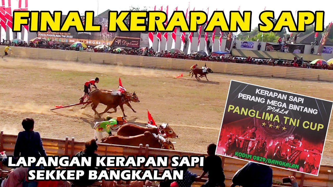 Final Kerapan Sapi Piala Panglima TNI CUP di Bangkalan