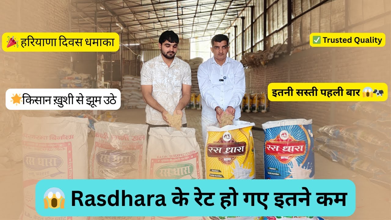 🎉 हरियाणा दिवस धमाका! Rasdhara Feed के रेट इतने कम कि किसान ख़ुशी से झूम उठे &mdash; इतनी सस्ती पहली बार 😱