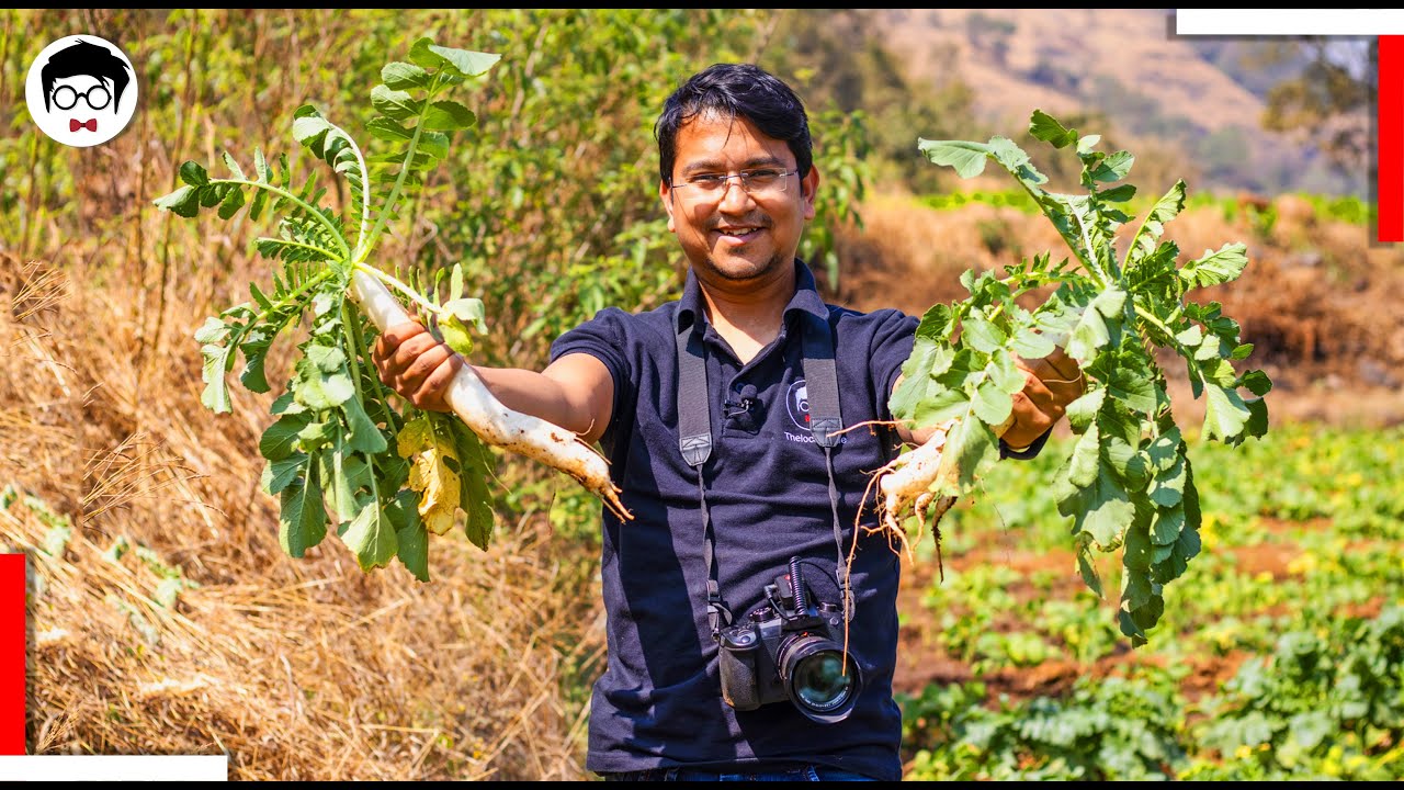 Agritourism PUNE | Indian Village Tour | The local guide