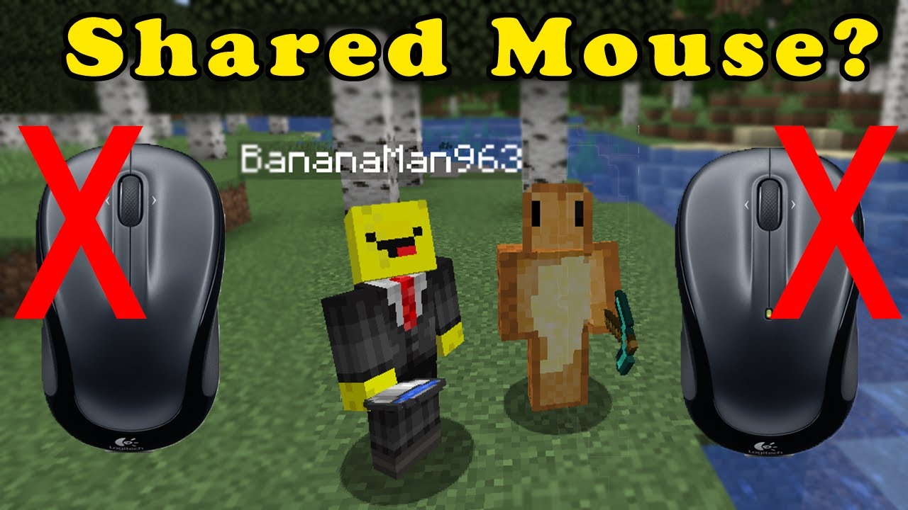 Minecraft But We Split a Mouse