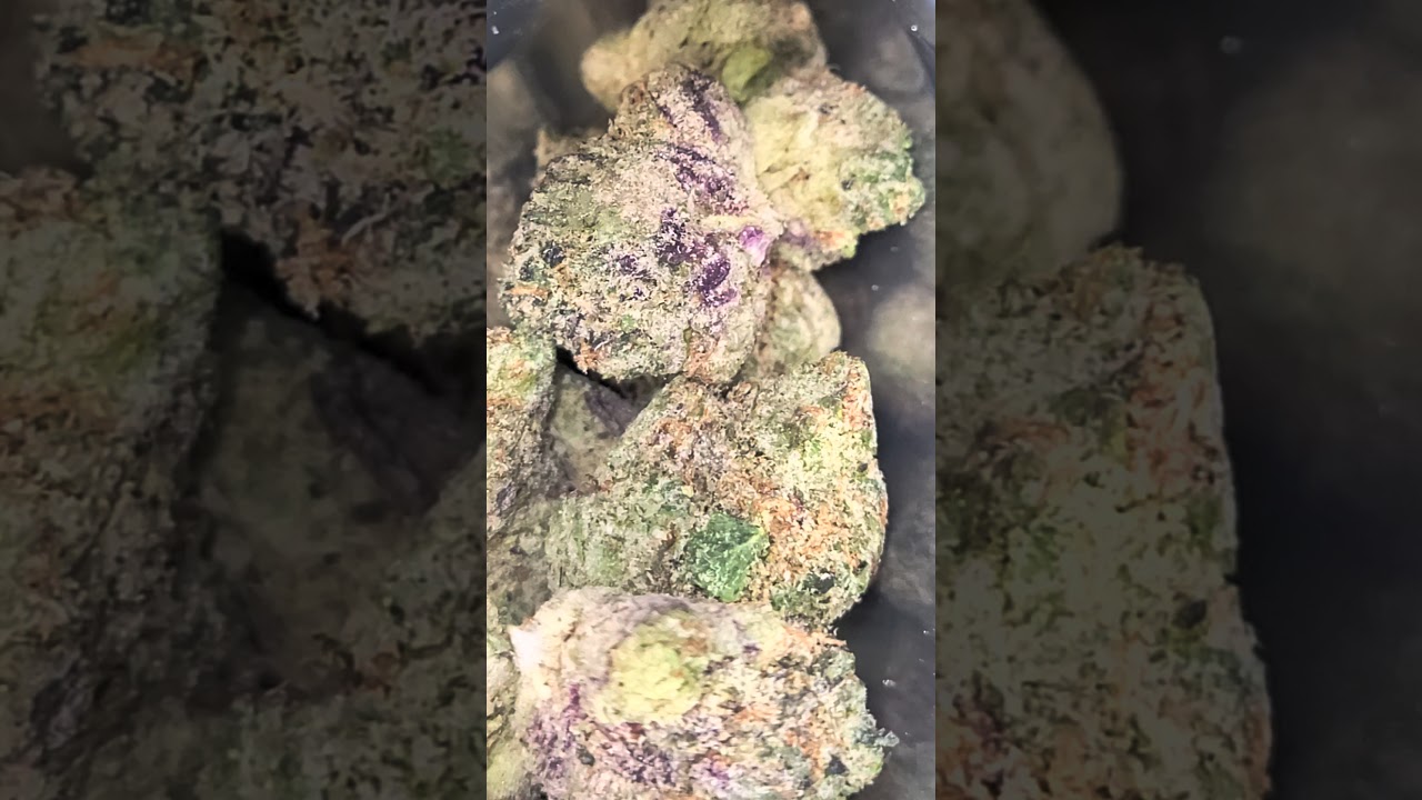 #shorts #Zangria  wizard trees packs #cali #420