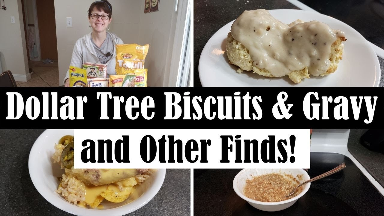 DOLLAR TREE BISCUITS AND GRAVY?? || NEW DOLLAR TREE FINDS & MEALS