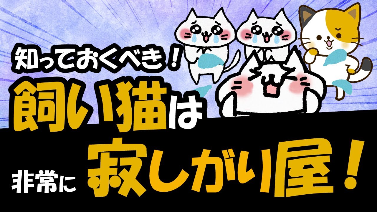 猫が寂しい気持ちの5つのサイン、寂しさや不安をどのように解消すればよいか？