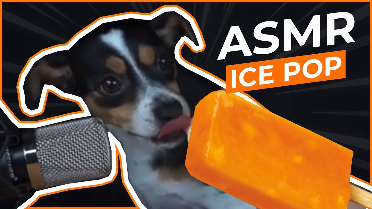 ASMR DOG EATING HOMEMADE MANGO ICE POP