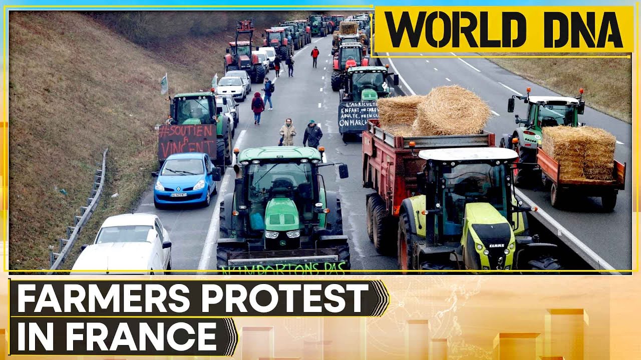 French Farmers Protest Culling of Over 200 Cows Over Single Disease Case | WION World DNA