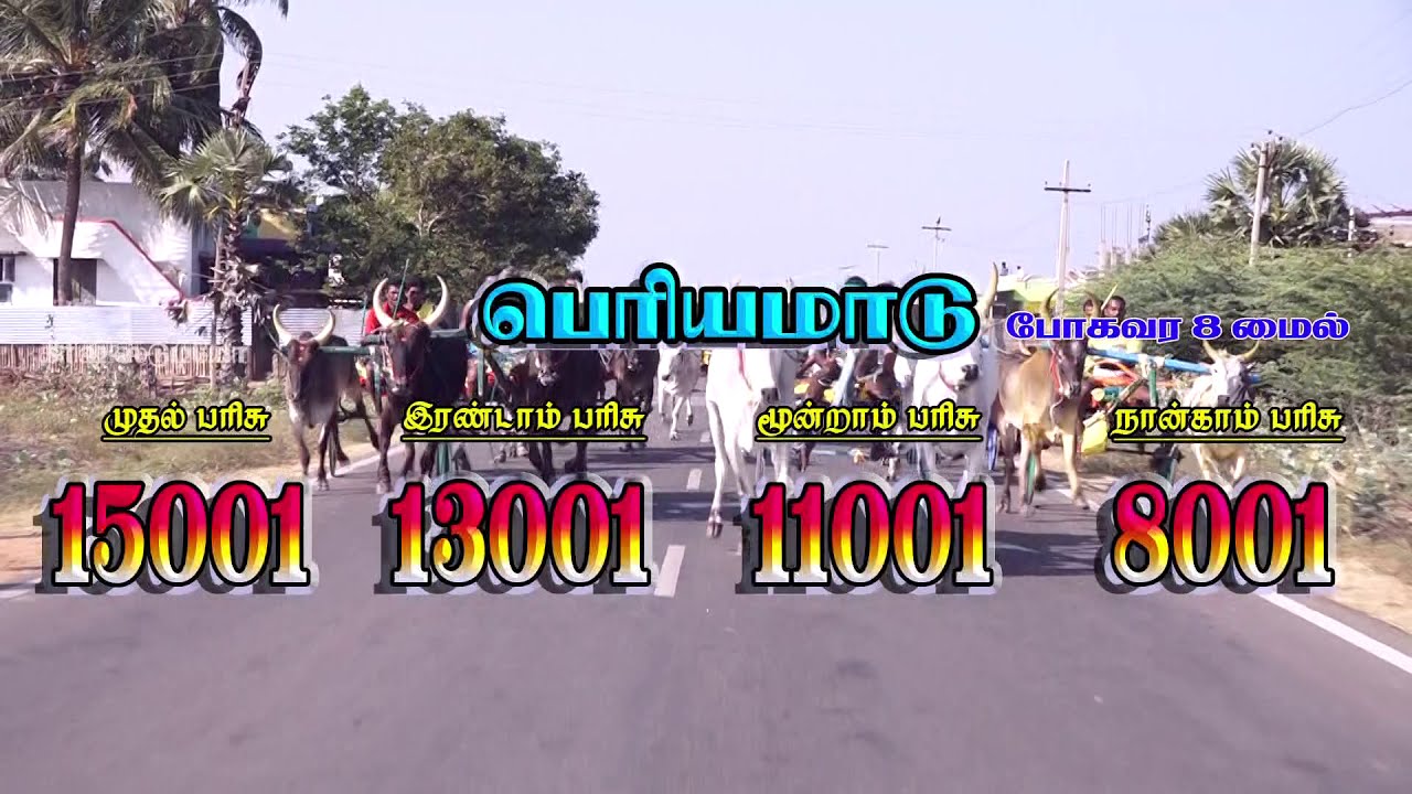 அரன்மனனப்பட்டி பந்தயம் 23.02.2020 ARANMANAIPATTI PANTHAYM krish studio kattumavadi