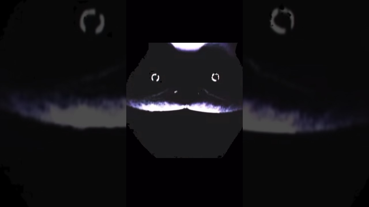 Cat meowing slowed down