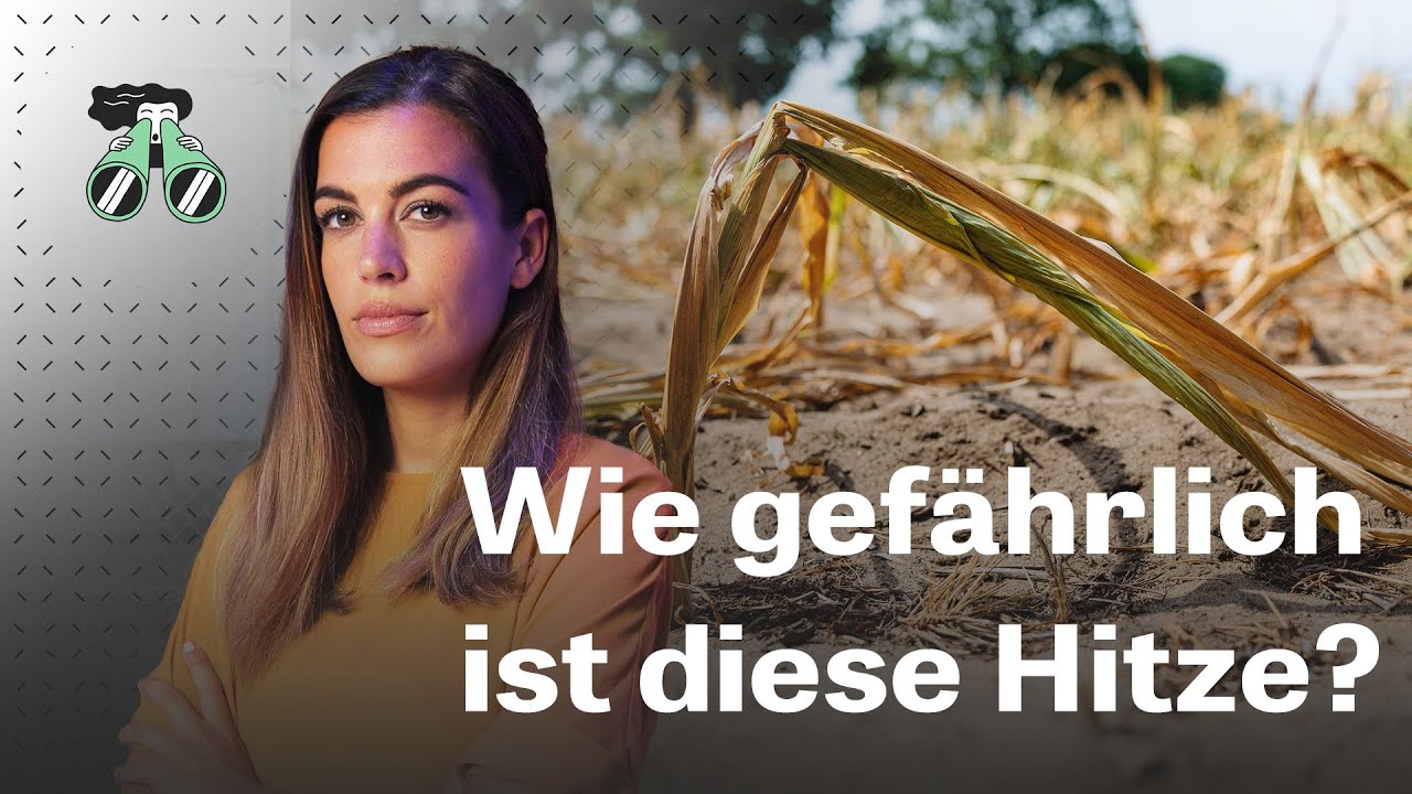 Brände, Dürre, Starkregen – ist das jetzt unser Alltag? | Was jetzt? - Die Woche