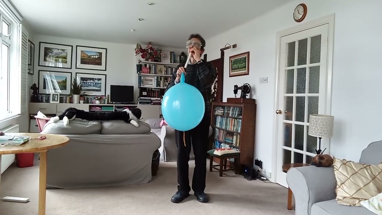 B2P A  very stretched blue punchball balloon! How big will it go before it bursts?