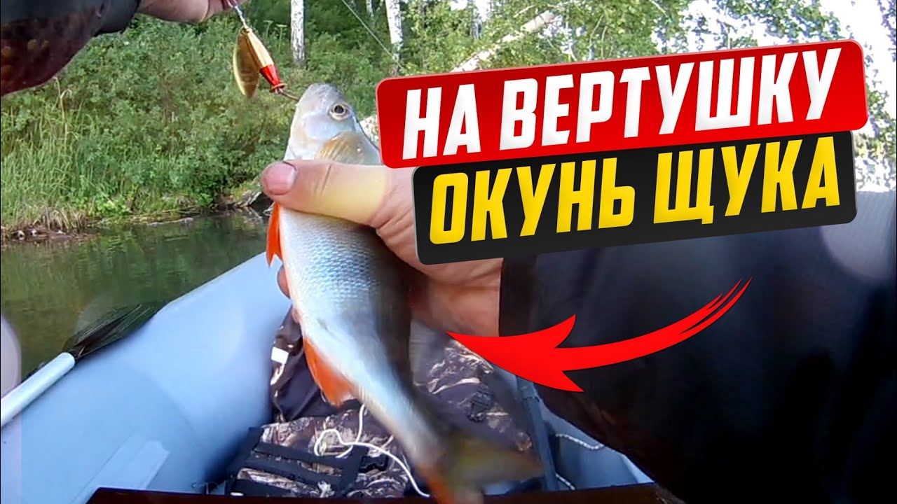 Щука и окунь на вертушку Mepps, первая охота на хищника!
