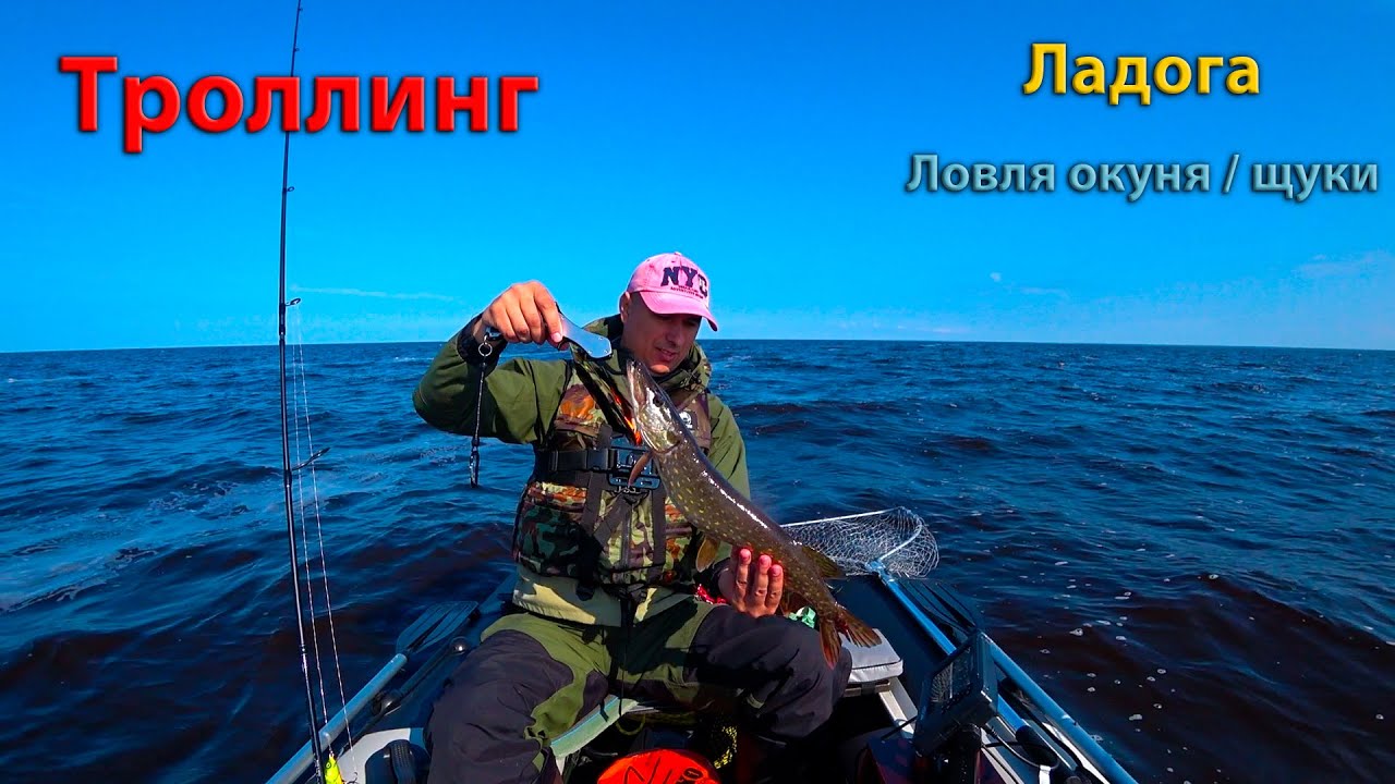 Троллинг | Ладога | Ловля окуня и щуки
