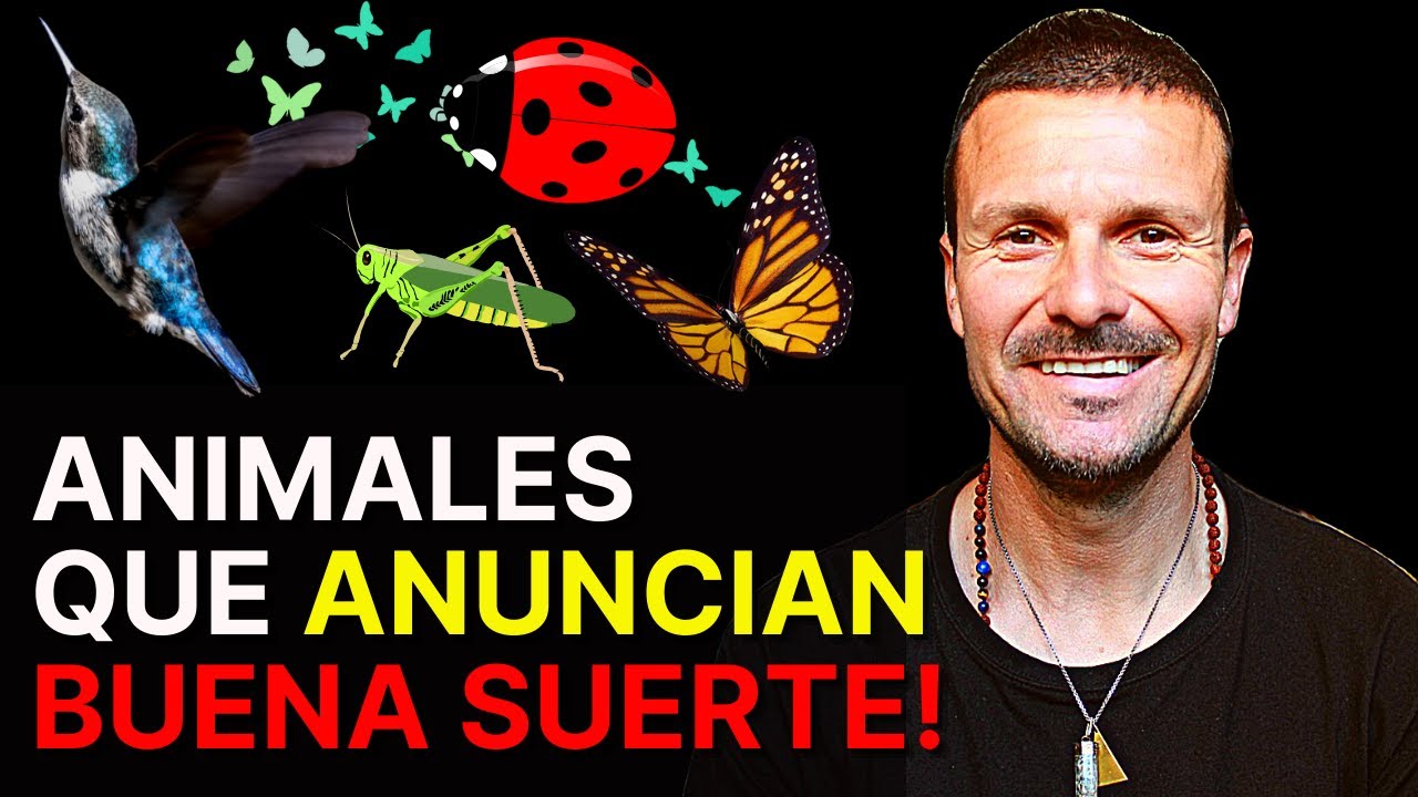 Animales Que Anuncian La BUENA SUERTE (Se Te Aparecen Para Anunciarte Que Te Llegará La BUENA SUERTE