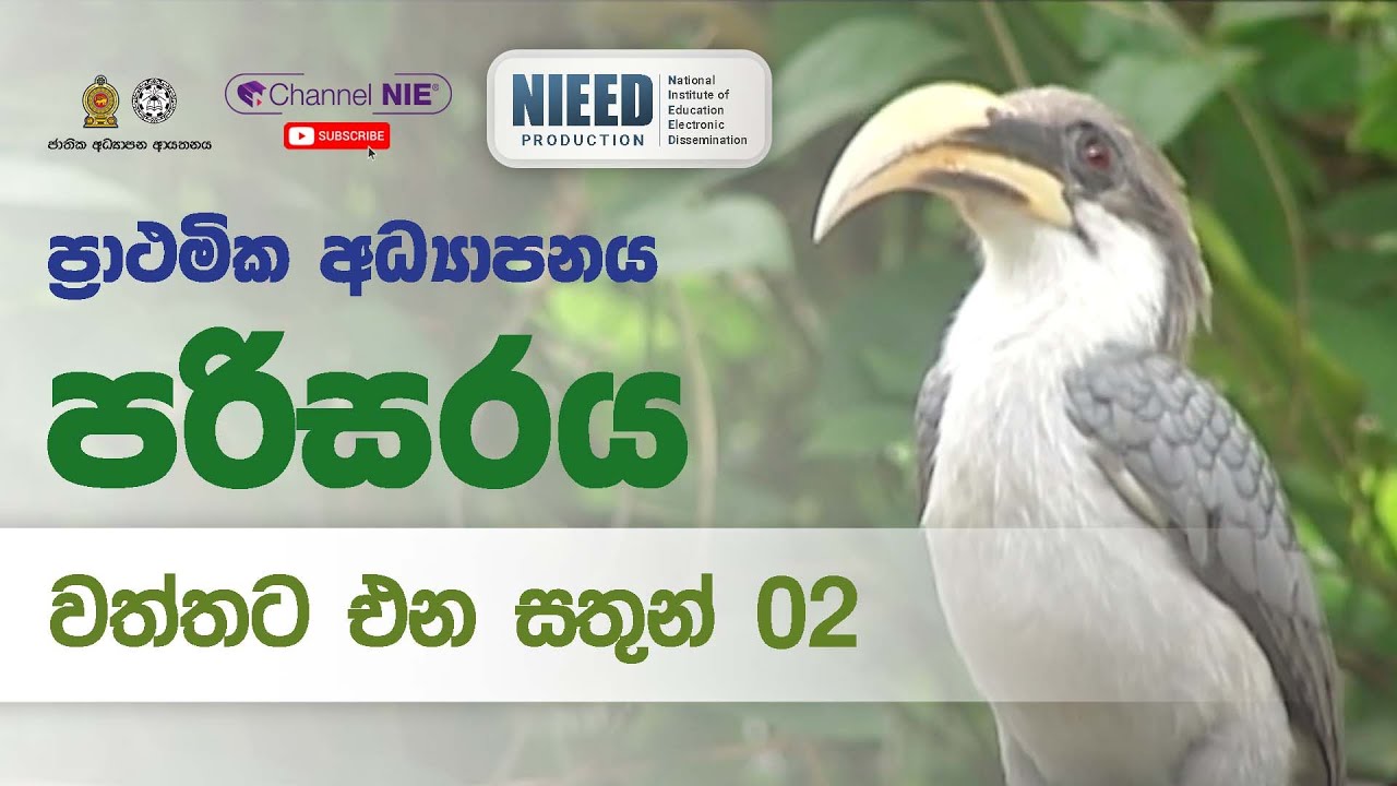 වත්තට එන සතුන් 02 - 05 ශ්‍රේණිය- (පරිසරය)