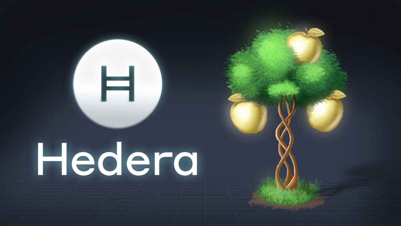 Что такое Hedera Hashgraph? Объяснение HBAR с помощью анимации