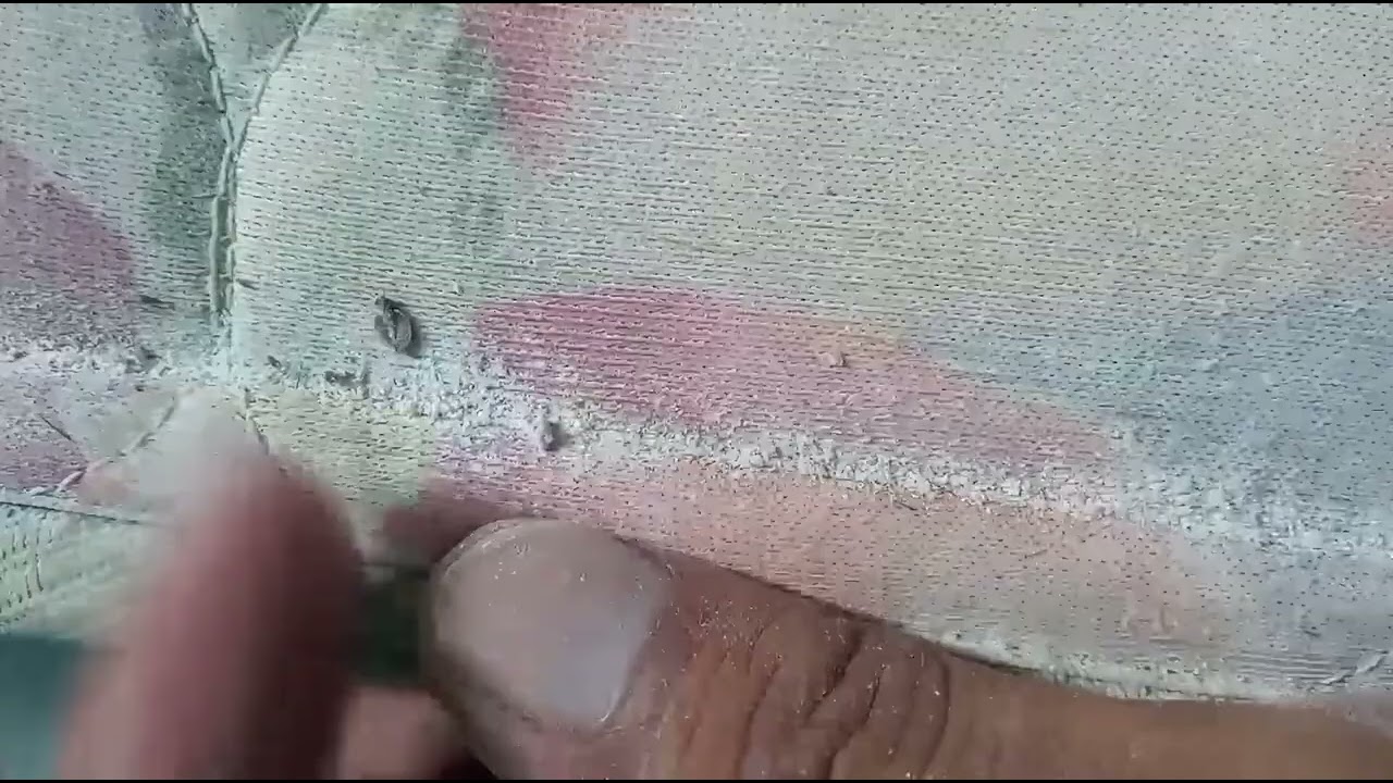 C&oacute;mo aplicar la tierra de diatomeas.