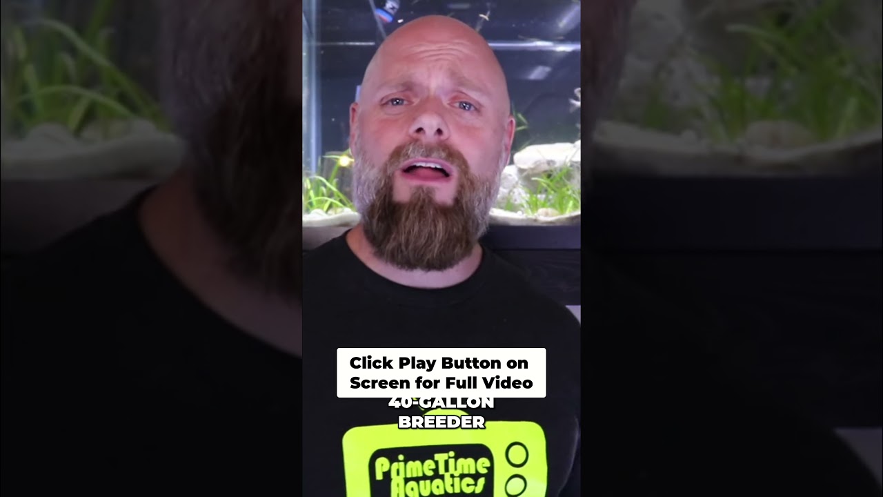 STOP Nitrate Buildup: Filtration Doesn't Help!