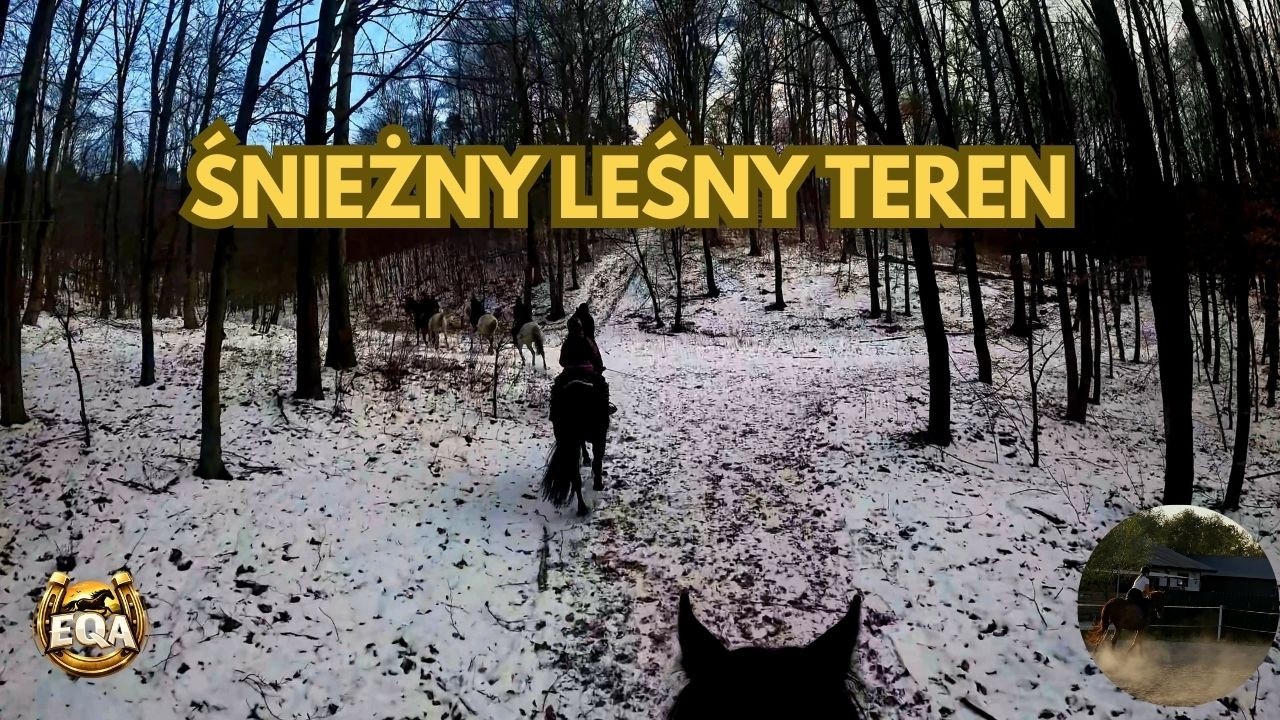 Zimowy teren: Tak wygląda raj dla koniarza! 🐎 (Obietnica idealnych widoków) ❄️ 4K
