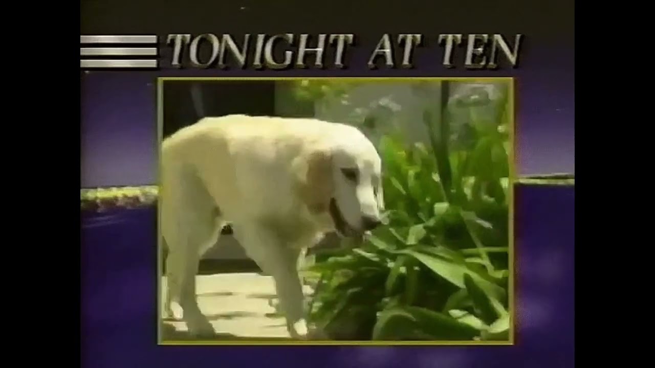 Will I See You Again - Thee Sacred Souls (sped up)