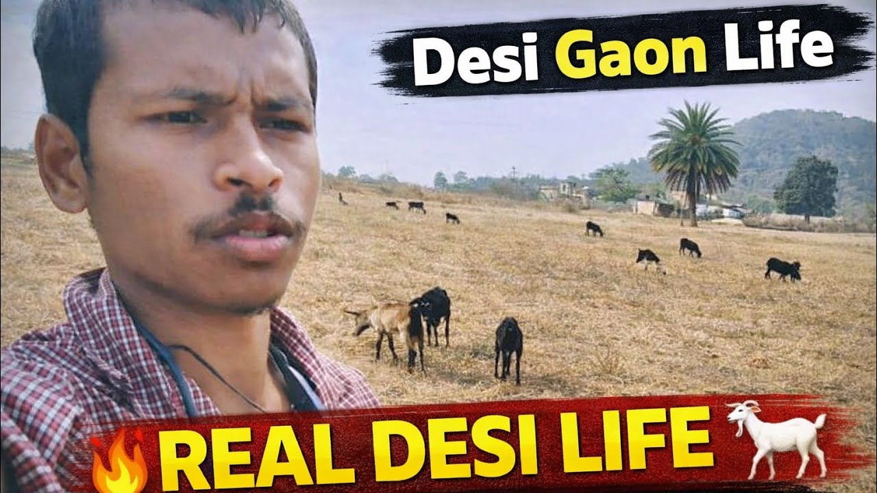 Baki Charan Daily Vlog village Life Desi style vlogs #anupjh26 