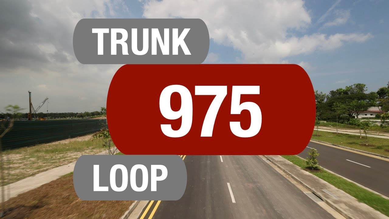 SMRT Buses Trunk 975 | Bus Service Route Visual