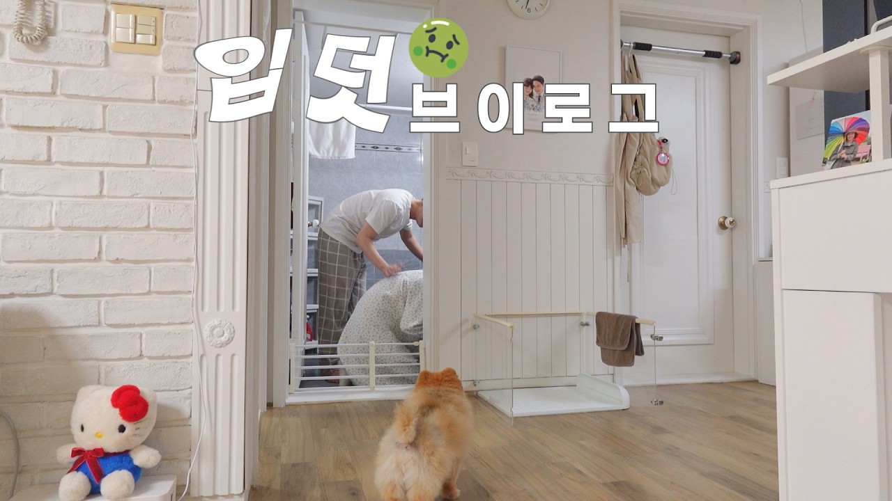 [7-9주] 24시간내내 울렁울렁.. 처음 경험해보는 입덧 지옥🤢 신기한 태몽을 꿨어요🌙 젤리곰이 된 하든이🤍