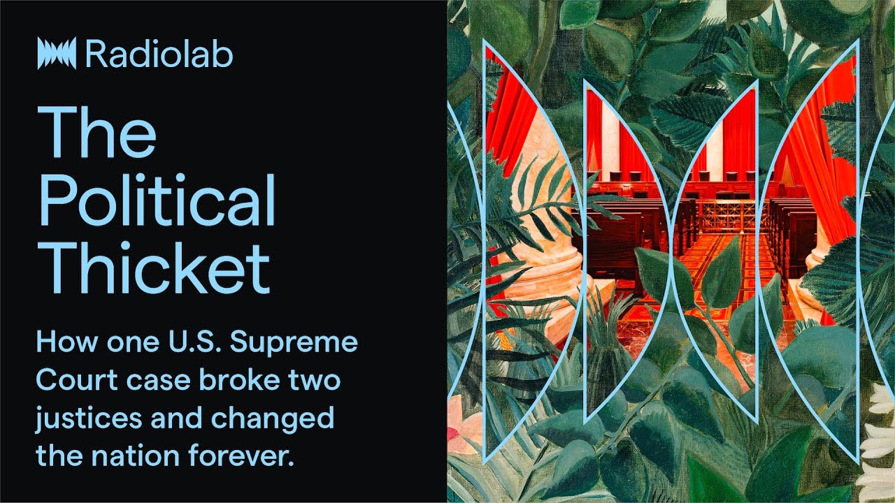 The Political Thicket | Radiolab Podcast