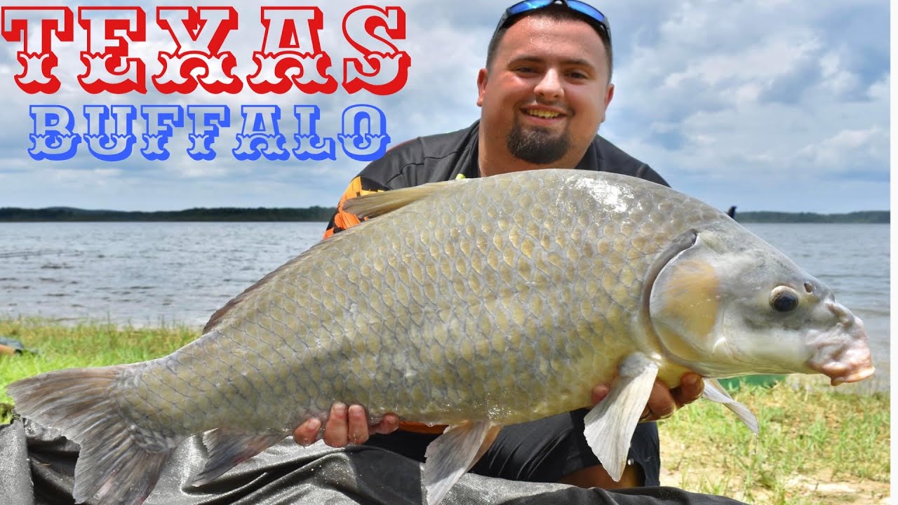 Texas Buffalo Fishing