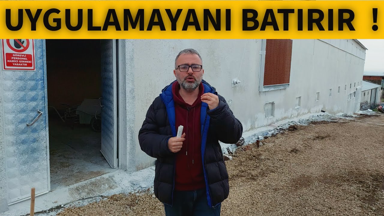 YUMURTA TAVUKÇULUĞU İŞİNDEKİ EN BÜYÜK RİSKLER !
