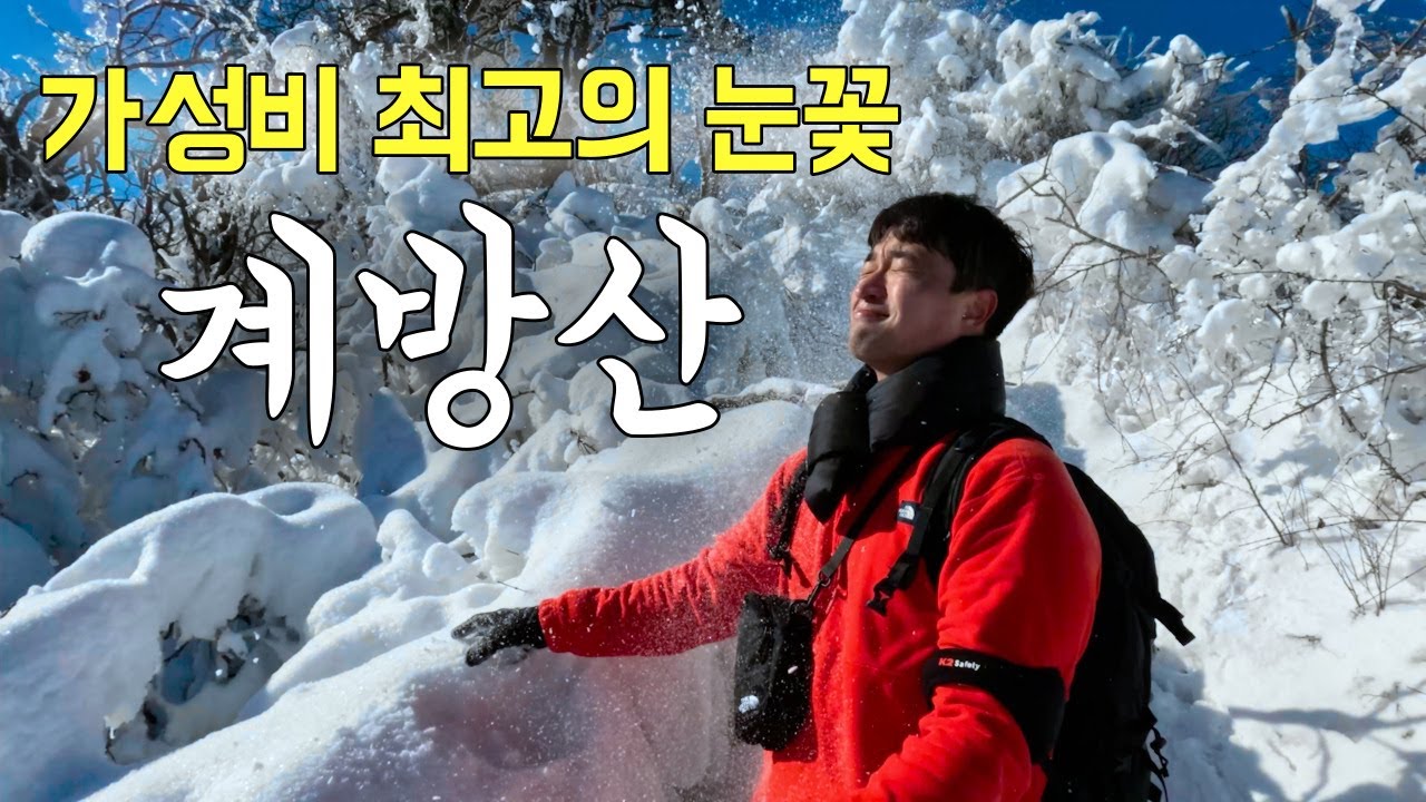 산행 1분만에 시작되는 눈꽃파티 【등산 계방산】 강원도 겨울 여행