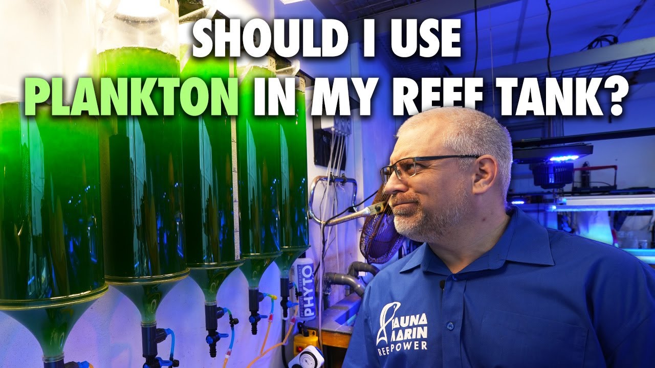 PLANKTON for my reef tank? - Is it worth it?