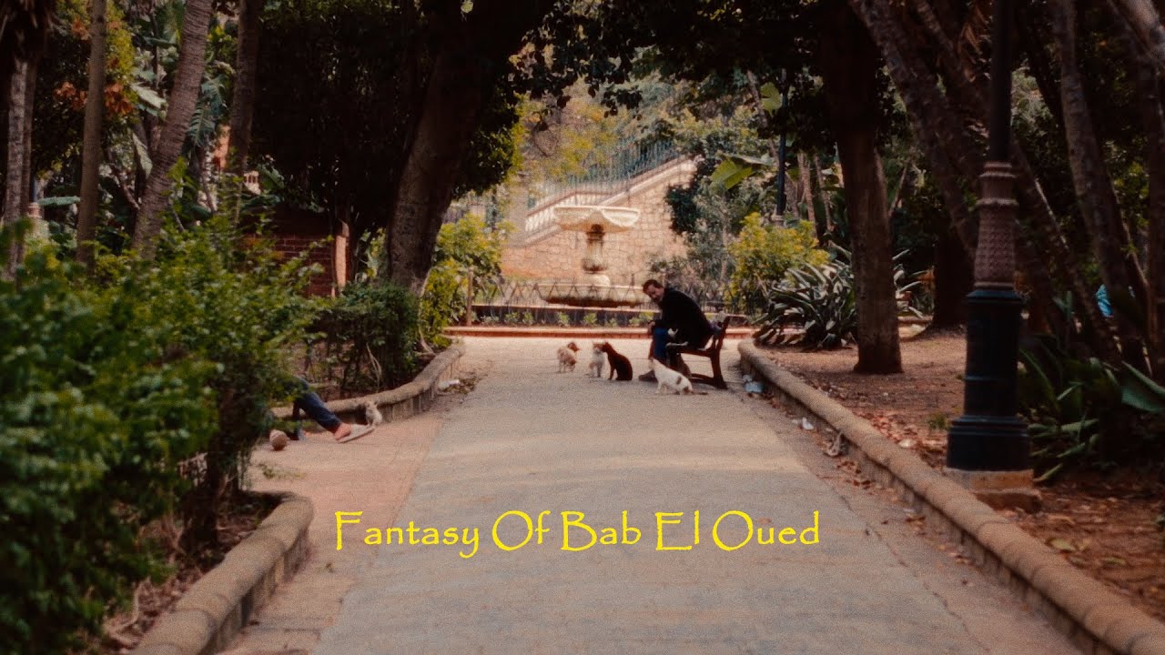 Fantasy of Bab El Oued