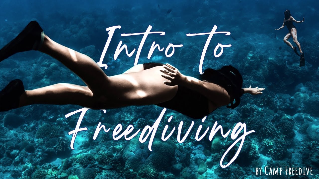 Introduction to Freediving | by Camp Freedive Ph | Anilao Batangas
