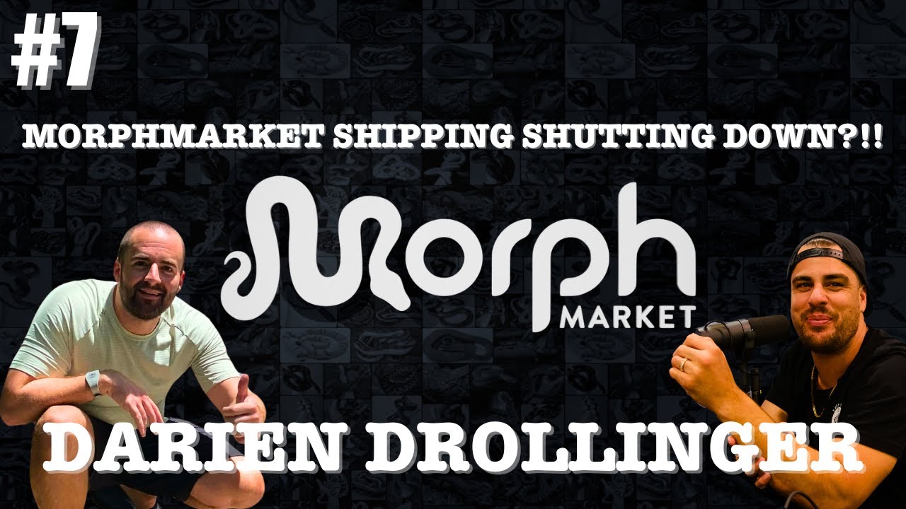 MorphMarket Shipping ЗАКРЫВАЕТСЯ???!