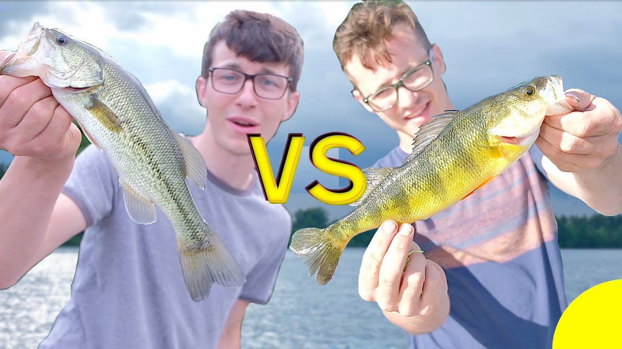 Multi-Species Fishing Battle! /Fish Fight Ep2