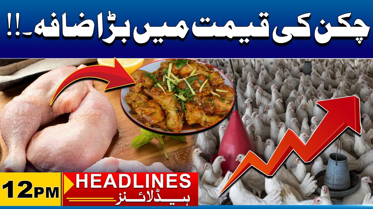 Chicken Prices Out Of Control | 12pm News Headlines I 17 Feb 2026 I City 41