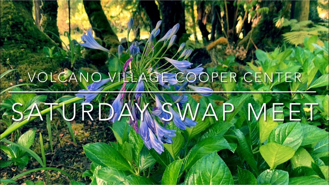 Thrifting in Volcano Village - Cooper Center Swap Meet 2nd and 4th Saturdays