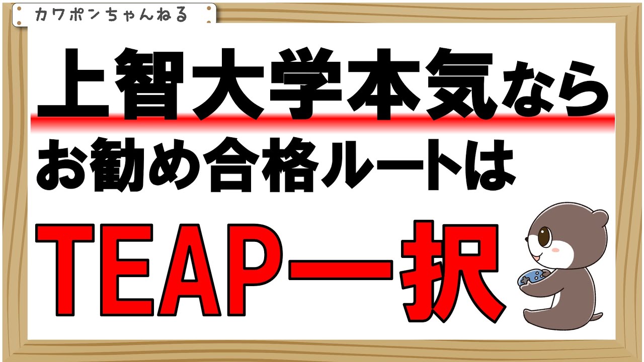 ＃上智大学＃TEAP＃カワポン