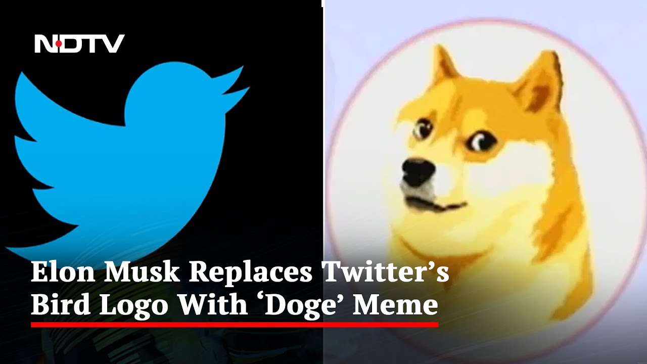 Elon Musk Briefly Changes Blue Bird Logo to 'Doge' Meme on Twitter Website