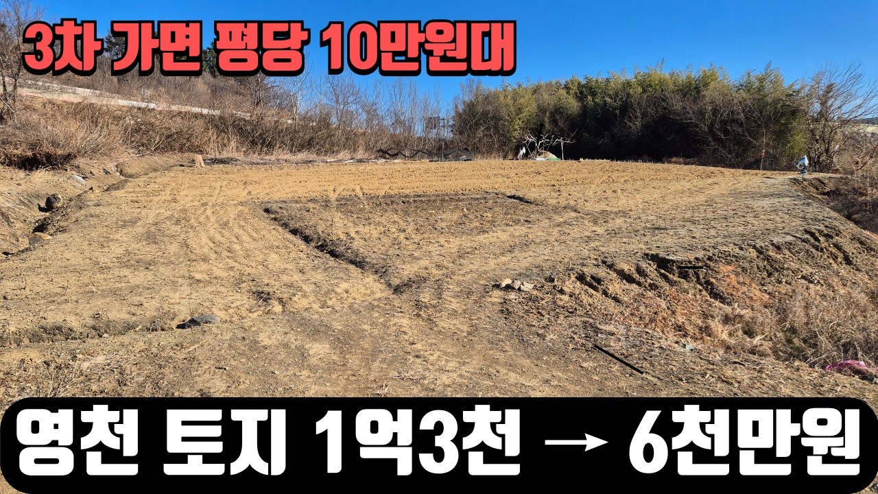 2차로 잘 접한 456평 1억3천만원 토지를 6천만원대 반 값으로 매수하기