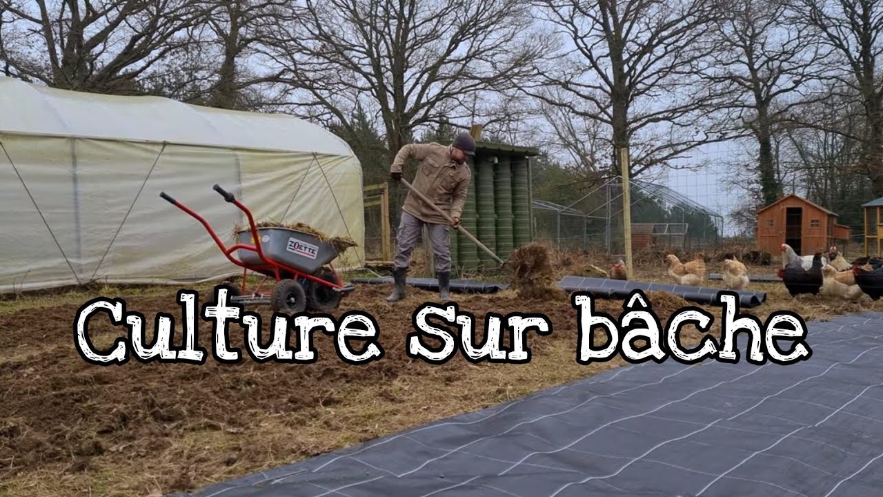 Culture sur bâche et semis au potager