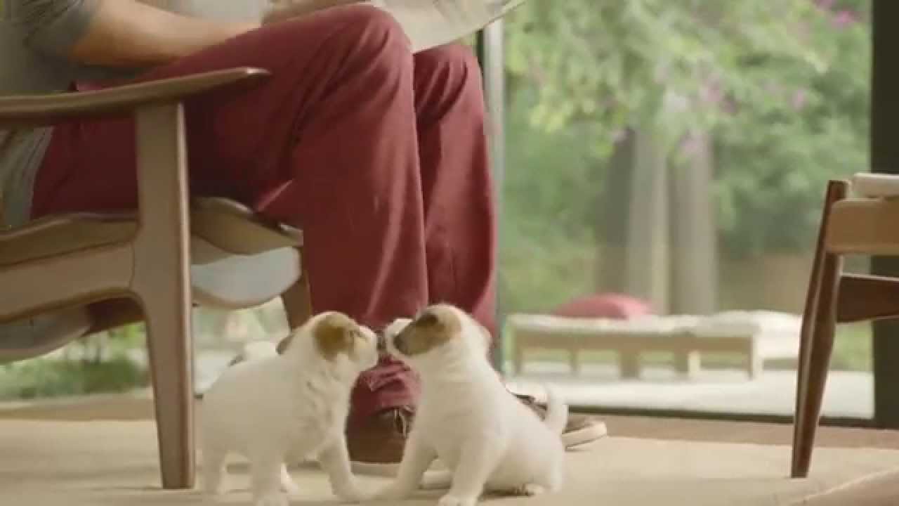Bradesco - Viver é Prime
