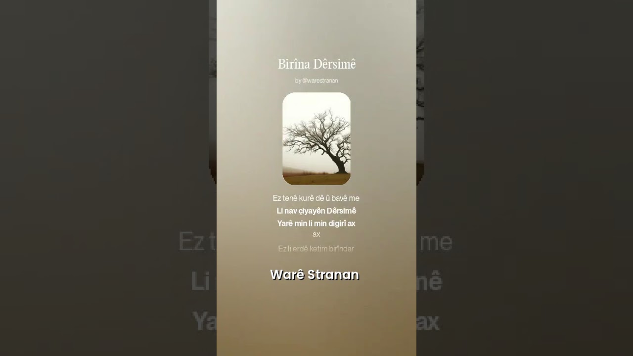 Bir&icirc;na D&ecirc;rsim&ecirc; - War&ecirc; Stranan #Shorts