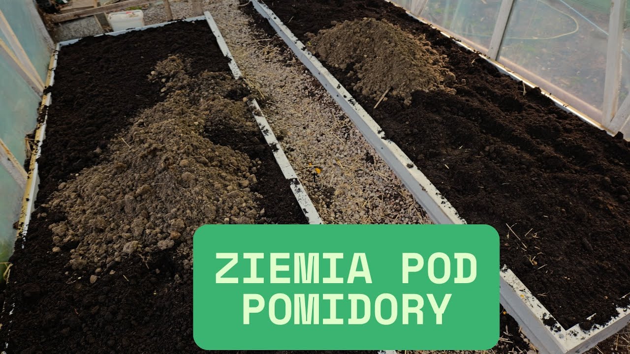 Jak przygotowałem  ziemię w szklarni pod pomidory