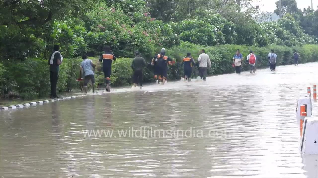 Commuters wade through floodwaters after Yamuna River overflows in Delhi