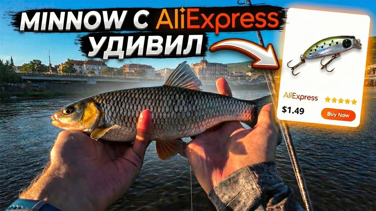 День голавля на Лабе! | Azura Olivia XUL