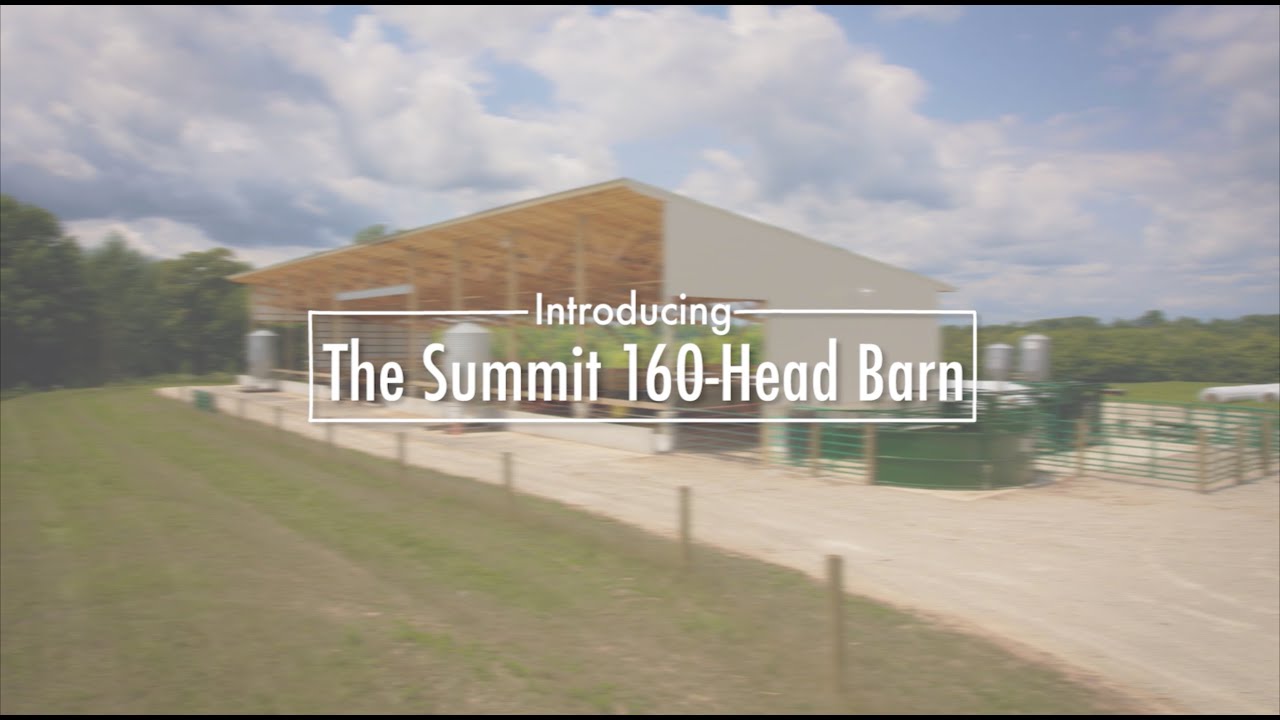 Dean Gangwer talks about why he chose a 160-Head Barn to finish cattle