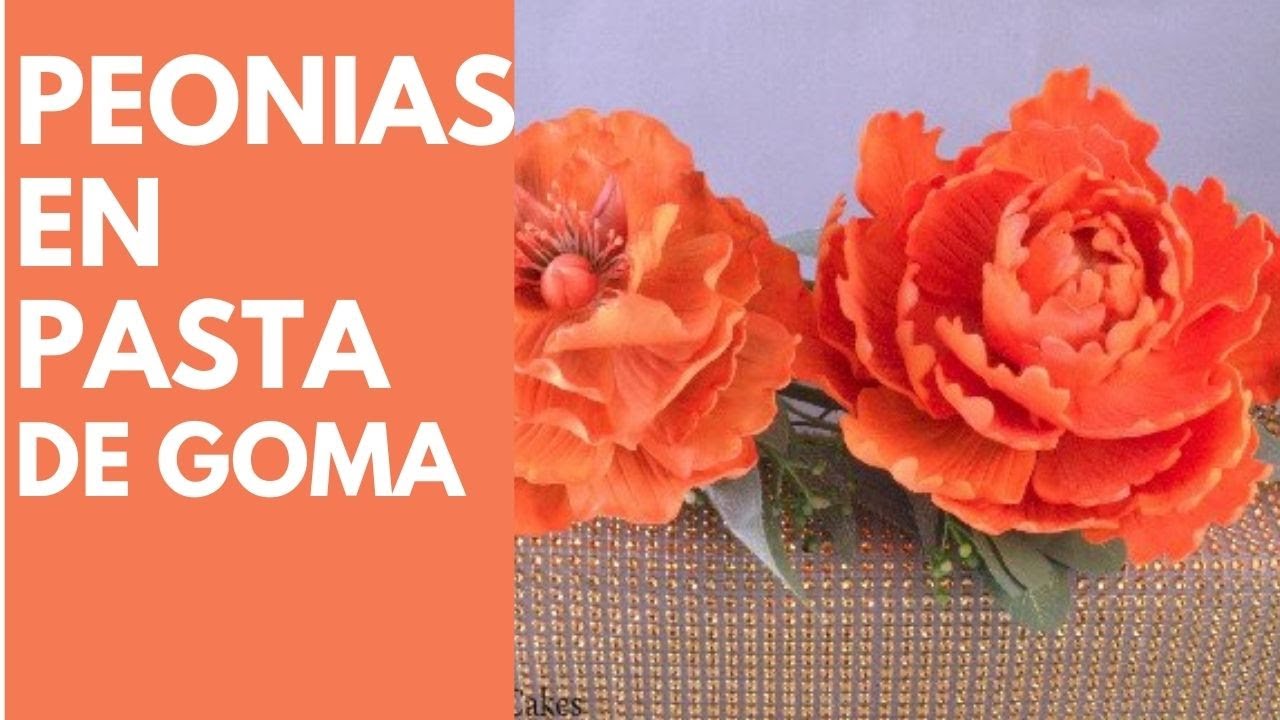 Como Elaborar Peonias en Pasta de Goma