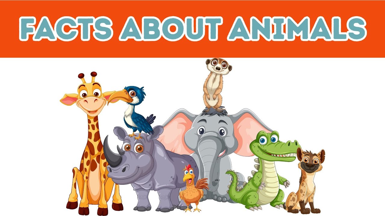Facts about Animals