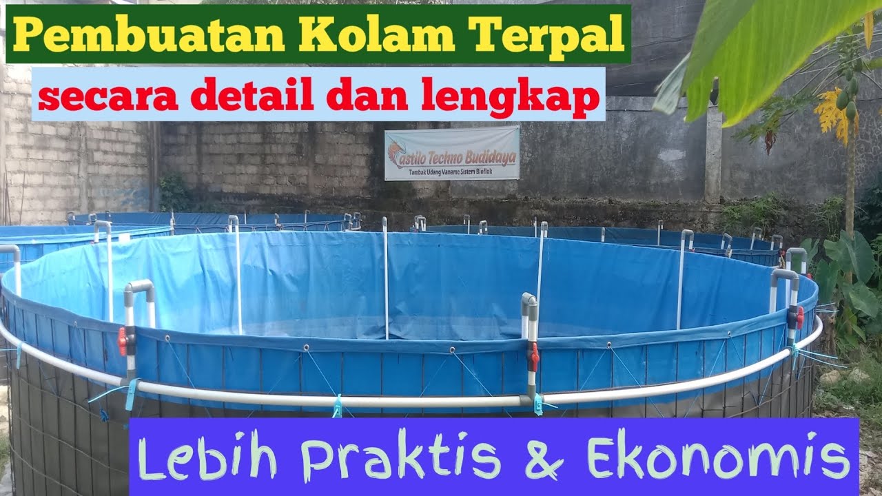 Cara Pembuatan Kolam Terpal Untuk Usaha Budidaya Udang Vaname Sistem Bioflok...!!!
