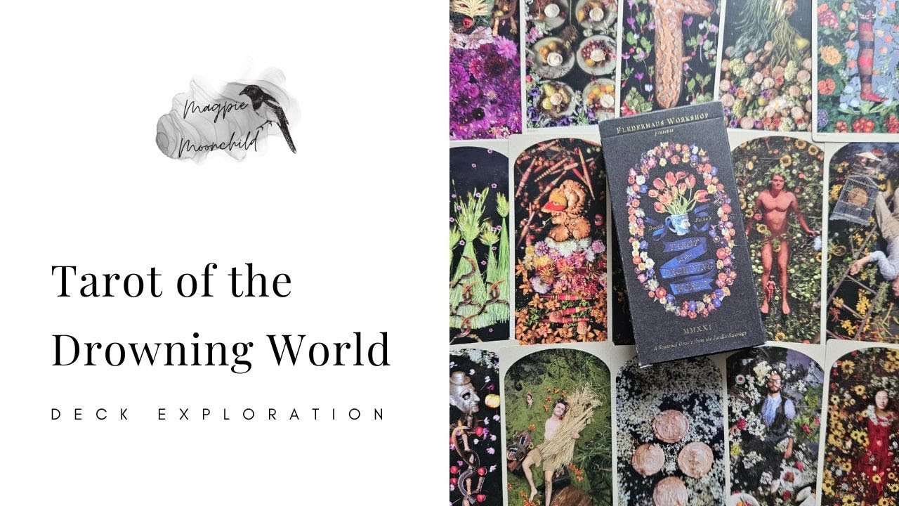 Tarot of the Drowning World & Tarot De Monde Perdu Guidebook - Deck Exploration